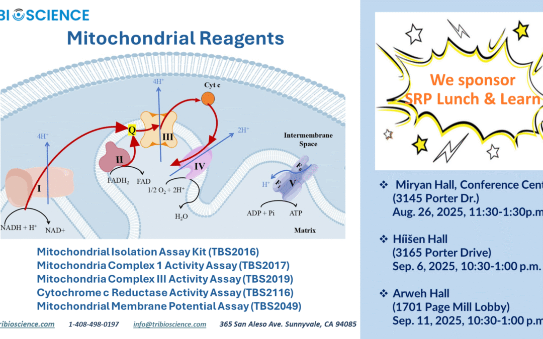 SRP Lunch & Learn – Mitochondrial Reagents